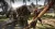 Dead Island Game of the Year Edition (Xbox 360, б/у) Специальная обложка