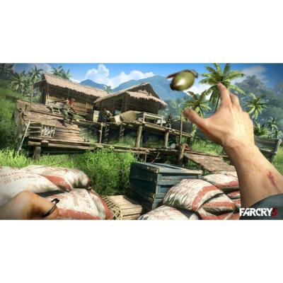 Far Cry 3 Limited Edition (PS3, витринный образец)