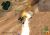 Dropship United Peace Force (PS2, б/у)