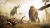 Far Cry Primal (PS4/PS5, б/у, рус.) Специальная обложка