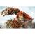 Knack (PS4/PS5, б/у, рус.) русская обложка Knack (PS4/PS5, б/у, рус.) русская обложка