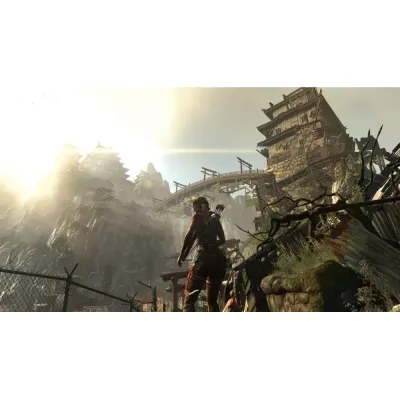 Tomb Raider (Xbox 360, витринный образец)