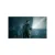 Alan Wake (Xbox 360/One/Series, рус.)