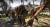 Dead Island (Xbox 360, б/у, незнач.царап., устанавливается на 100%)