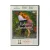 Правила Виноделов (DVD) УЦЕНКА