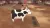 Story of Seasons A Wonderful Life (PS5)