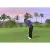 Tiger Woods PGA Tour 07 (PS2, б/у, множ.царап., устанавливается на 100%)