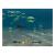 Finding Nemo (GameCube, б/у)