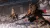 Sekiro Shadows Die Twice GOTY Edition (PS4/PS5, б/у, рус.) Sekiro Shadows Die Twice GOTY Edition (PS4/PS5, б/у, рус.)
