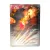 Конец романа (DVD) Конец романа (DVD)