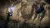 Elden Ring Nightreign (Xbox One/Series X, рус.)