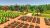 Life in Willowdale Farm Adventures (PS5)
