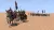 Mount & Blade 2 Bannerlord (PS4/PS5, б/у, рус.)