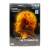 BBC: Разум Человека (DVD)