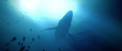 Under The Waves (PS5, русские субтитры)