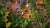 Minecraft Dungeons Ultimate Edition (Xbox One/Series, рус.) Minecraft Dungeons Ultimate Edition (Xbox One/Series, рус.)