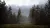 Hunting Simulator 2 (PS5, рус.)