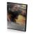 Тарзан: Легенда (DVD)