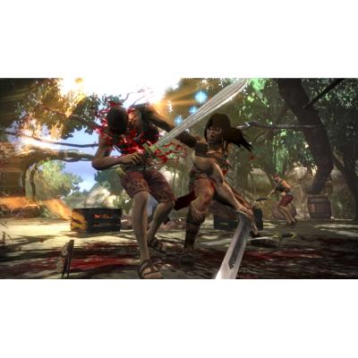 Conan (PS3, витринный образец)