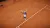 Tennis World Tour 2 - Complete Edition (PS5, рус.) Tennis World Tour 2 - Complete Edition (PS5, рус.)