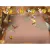 Disney Винни Игры с друзьями (PC, Jewel, рус.)