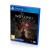 Wo Long Fallen Dynasty (PS4/PS5, рус.)