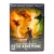 Пятое измерение (DVD) УЦЕНКА Пятое измерение (DVD) УЦЕНКА