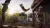 Assassins Creed Одиссея (Xbox One/Series, б/у, рус.) Специальная обложка 2