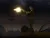 Max Payne 2 The Fall of Max Payne (PS2, б/у)