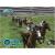 G1 Jockey 3 (PS2, б/у)