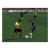 Fifa Football 2004 (GameCube, б/у)