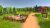 Life in Willowdale Farm Adventures (PS5) Life in Willowdale Farm Adventures (PS5)