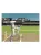 Brian Lara International Cricket 2005 (Xbox, б/у)