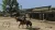 Red Dead Redemption (RDR) (PS5, рус.)