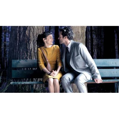 Пена дней (DVD)