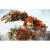 Knack (PS4/PS5, рус.) русская обложка