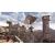 Assassins Creed Братство Крови Classics (Xbox 360/One/Series, б/у, рус.)