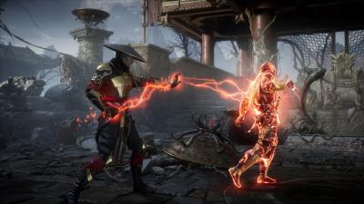 Mortal Kombat 11 Ultimate Limited Edition (PS5, рус.) рус. обложка
