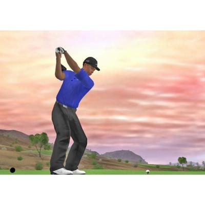Tiger Woods PGA Tour 07 (PC, DVD, рус.)