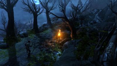 Dungeon Siege III (PS3, витринный образец)
