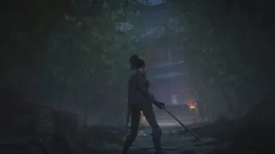 Wuchang Fallen Feathers Day One Edition (PS5, рус., витринный образец)