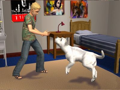 The Sims 2 Pets (Wii) (регион PAL)