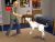 The Sims 2 Pets (Wii) (регион PAL)