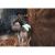 Prince of Persia The Sands of Time (PS2, б/у)