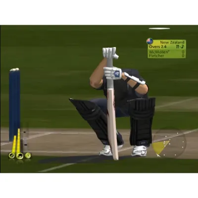 Brian Lara International Cricket 2007 (PS2, б/у)