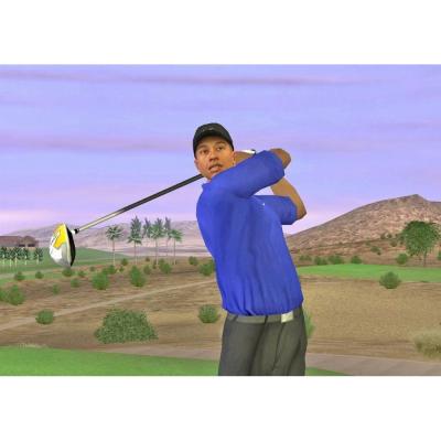 Tiger Woods PGA Tour 07 (PC, DVD, рус.)