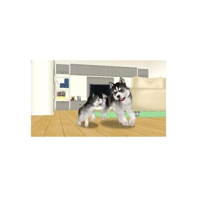 Petz - My Puppy Family (PSP, б/у, рус., без бокса)