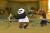 Kung Fu Panda 2 (DS, б/у)