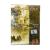 Властелин колец: Братство Кольца (DVD)