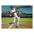 Brian Lara International Cricket 2005 (PS2, витринный образец)
